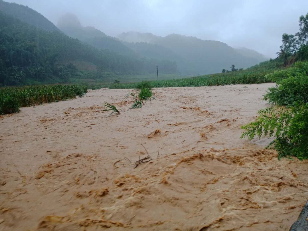 全国多地发生水灾,中国扶贫基金会启动5省6县灾害救援响应