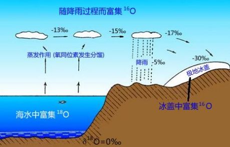 同位素示踪法图片