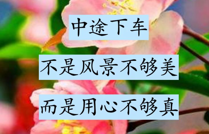 心若不在,何必强求;人若不爱,何必强留(看哭了)