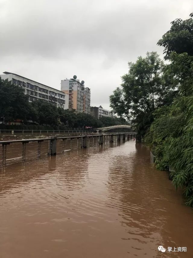 四川资阳洪水图片