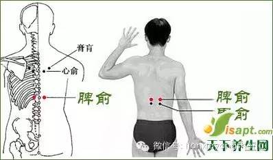 通經絡調氣血健脾和胃提高免疫力應對多病的三伏貼配方齊了