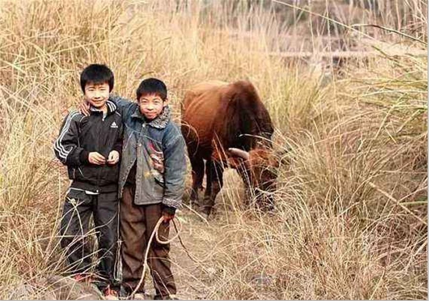 农村兄弟俩图片图片