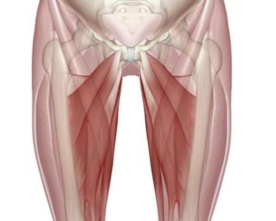 大腿肌肉突然疼痛,可能是什麼病?