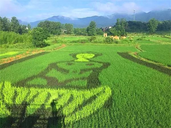 大地景观化图片