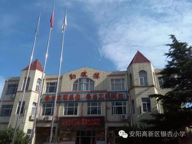 安阳市银杏小学南校区图片