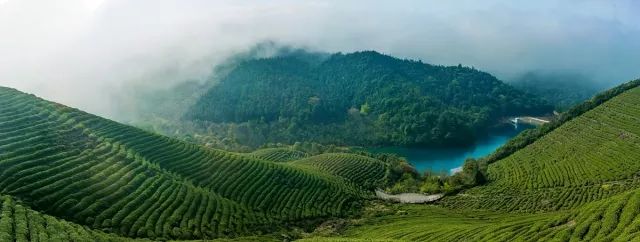 一,气候环境宁波福泉山茶场位于宁波东钱湖旅游度假区内,南邻象山港