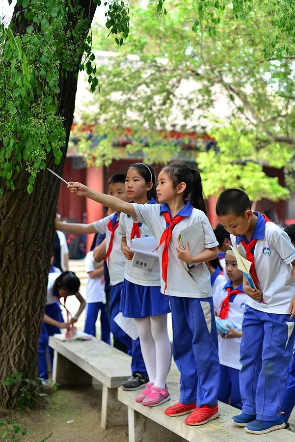 關注自然節律體驗校園之美八里莊學區校園物候觀測進行時