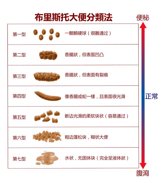 六个月宝宝大便图解图片