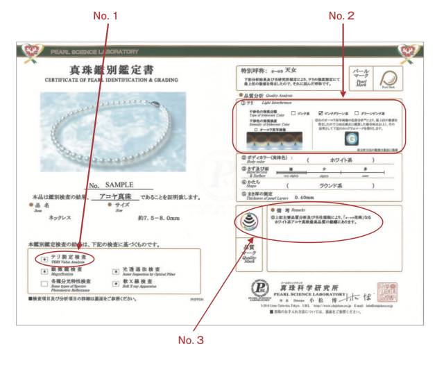 一篇文章學會鑑別日本akoya海水珍珠