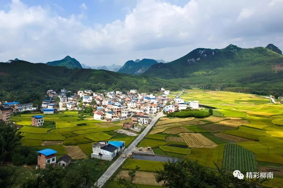 柳州市柳南区流山镇图片