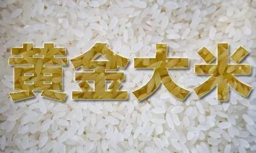 正式批准黄金大米用于食用