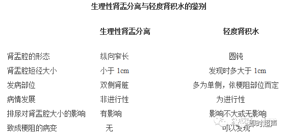 肾积水的超声诊断和鉴别要点