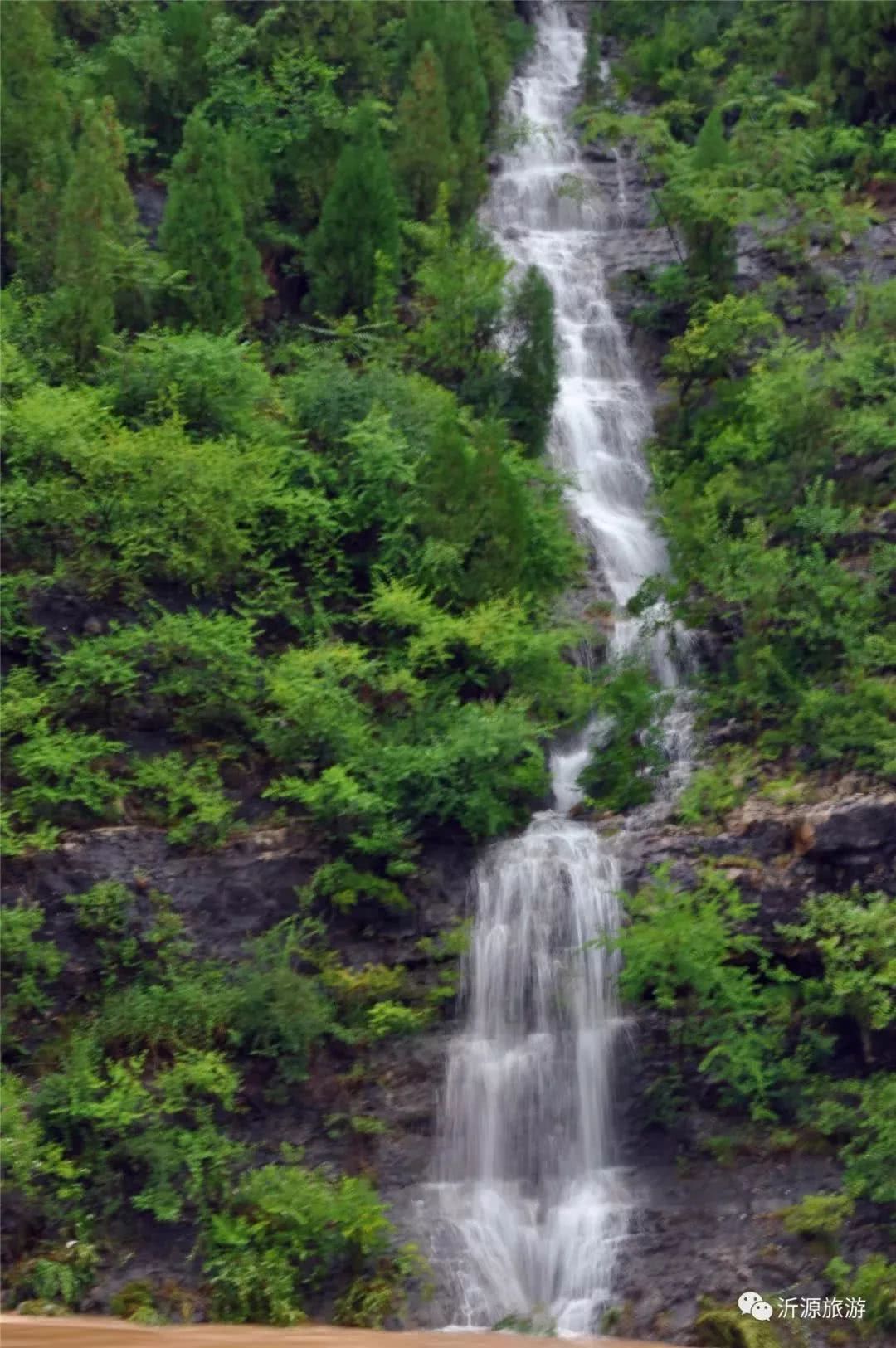 魯山瀑布貓道泉位於沂源縣南麻街道宋家莊村東山崖根,常年噴湧著白色