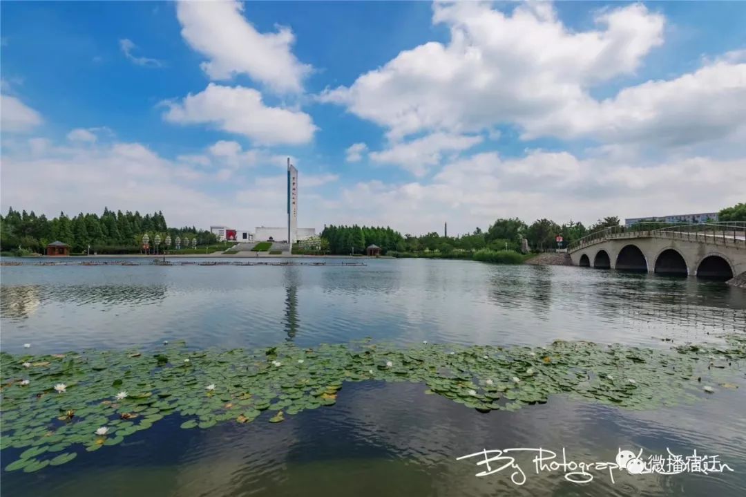 雪楓公園▼九鼎公園▼千鳥園廣場▼宿遷市博物館▼鍾吾國際學校▼青華