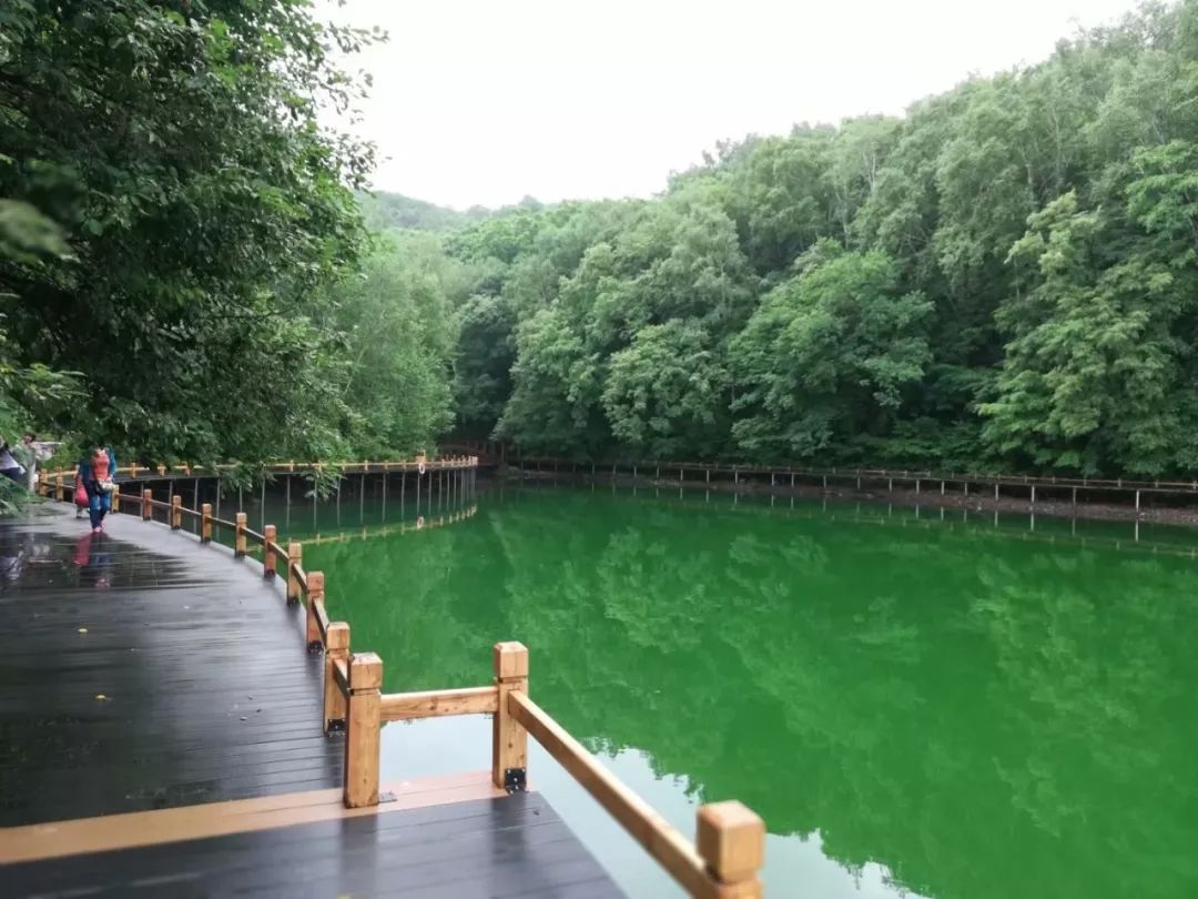 這裡有大小龍灣,吊水壺瀑布和茂密的原始森林,是我國最大的火山群龍崗