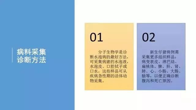 兽医技术塞内卡病毒引起的水泡病及鉴别防控