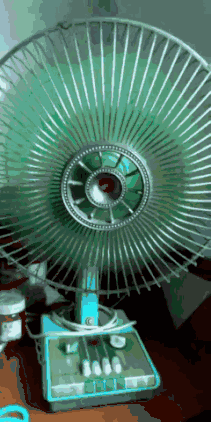 电风扇转动动态图图片