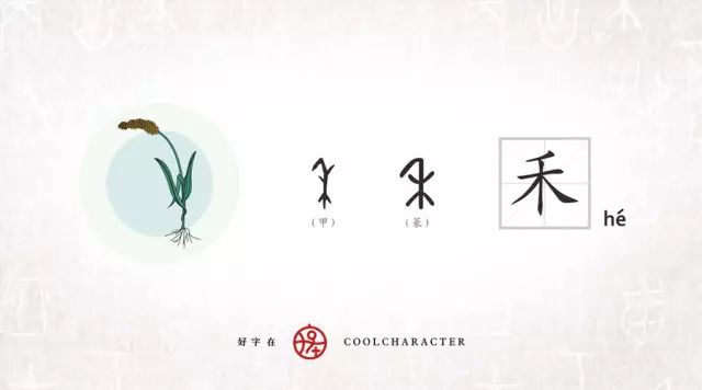 禾字演变过程图片图片