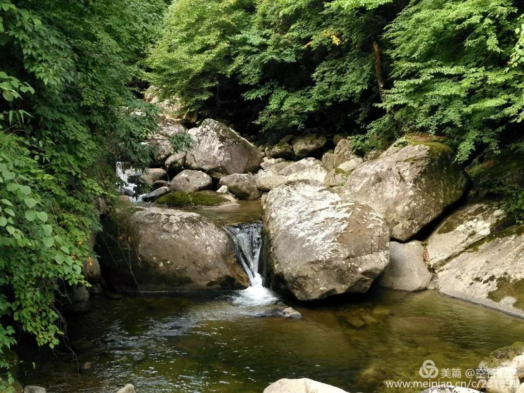 三國聖地美麗勉縣雲霧山丨四時雲霧濛濛不開