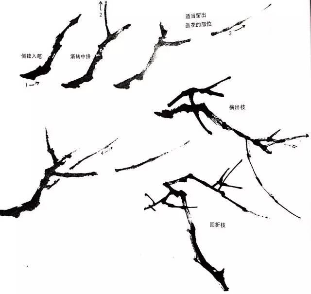 梅花树干和树枝的画法图片