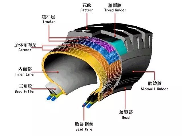 轮胎解剖实际图图片