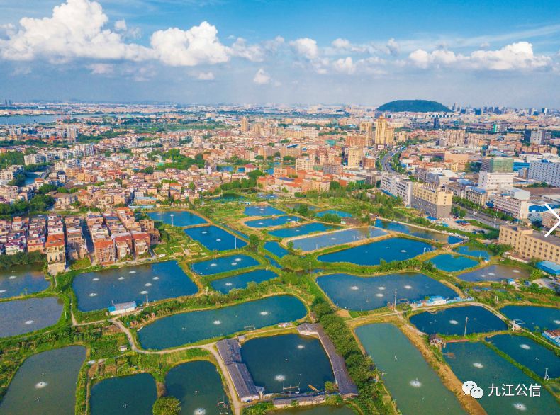 大水车公馆九江沙头店图片