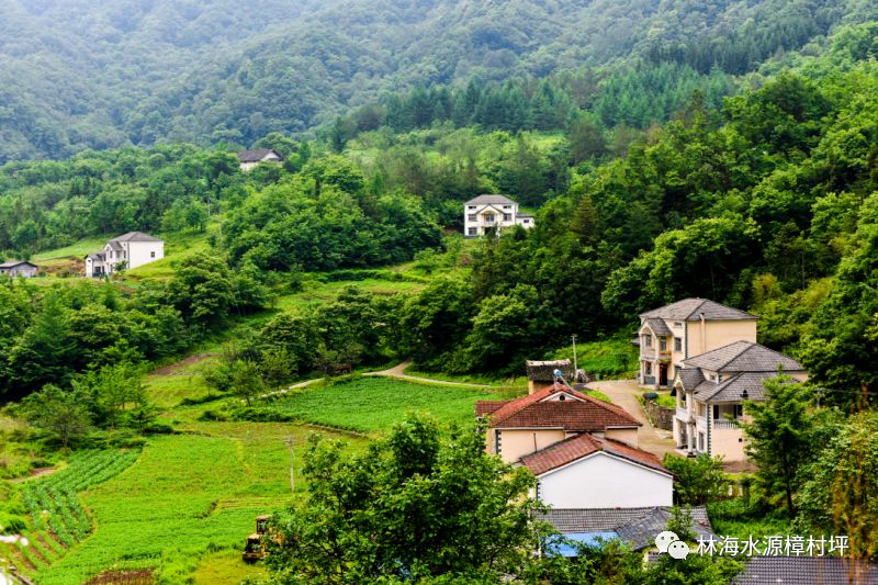 夏天的故事從樟村坪開始