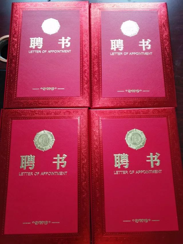 名誉村主任聘书图片