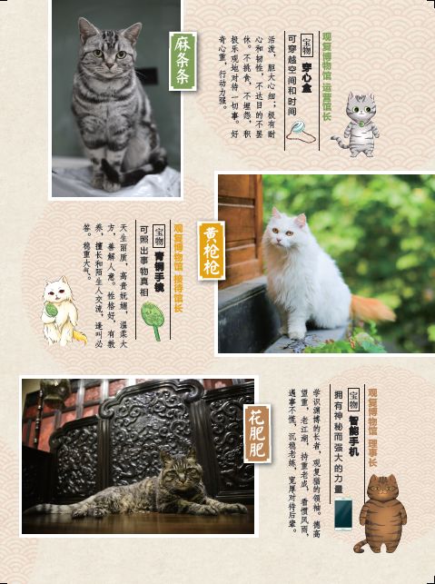 观复猫花名册图片