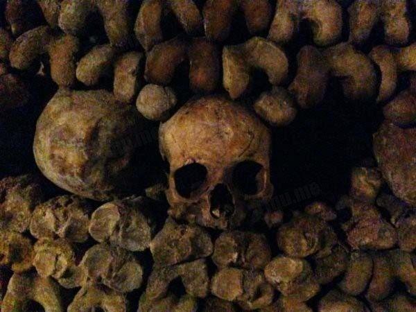 考古家在古建築下發現一座1000多具屍骨的古墓，消息傳出舉世震驚 歷史 第2張