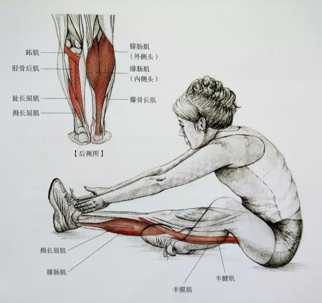肌肉,无需用力过猛 能感觉到拉伸感,就可以了 这套全方位小腿拉筋法