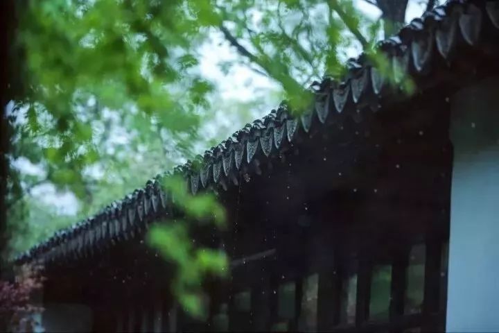 站在山顶,看细雨迷蒙.