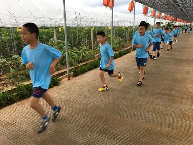 啟航朝氣蓬勃的國學少年2018越王國學夏令營第一二天