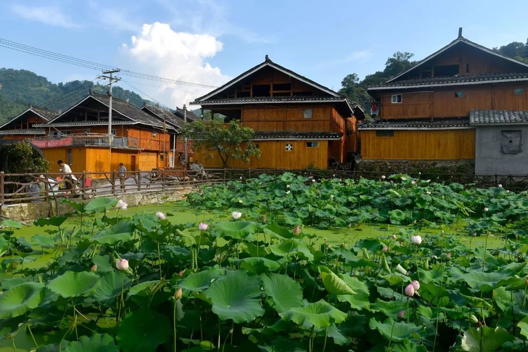 第十三届贵州旅发大会倒计时走出深闺的从江銮里侗寨