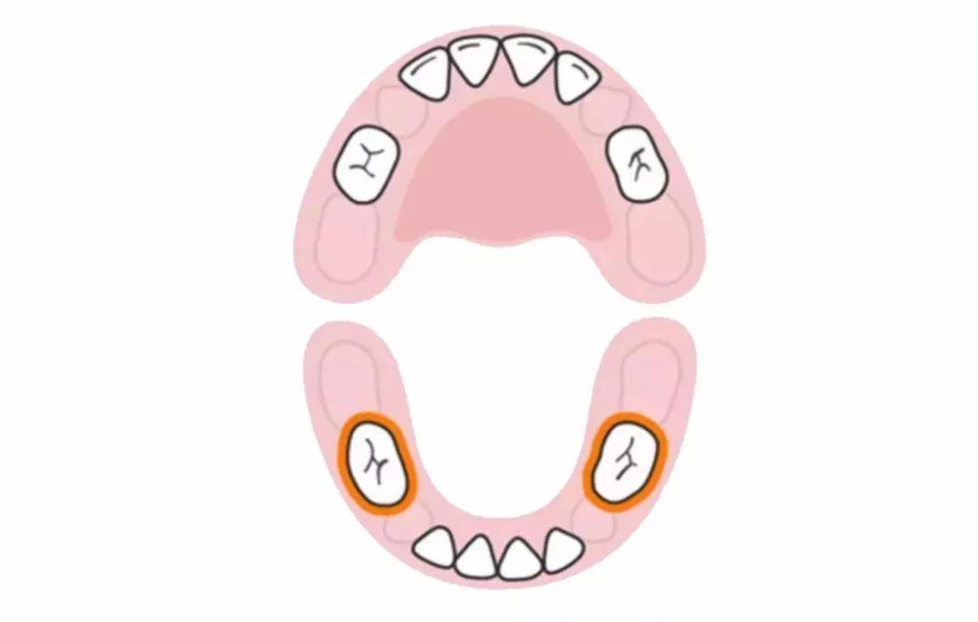多麼痛的領悟丨手把手教你如何幫助寶貝度過長牙期