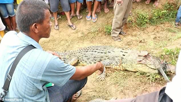 鳄鱼咬死人现场图片图片