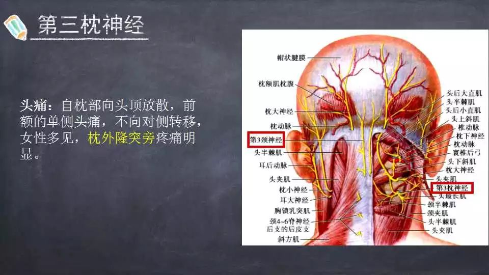 下面是第三枕神经,它是在颈2