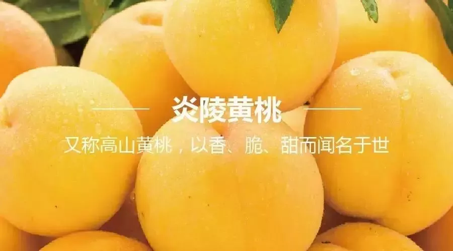 炎陵黄桃cctv图片