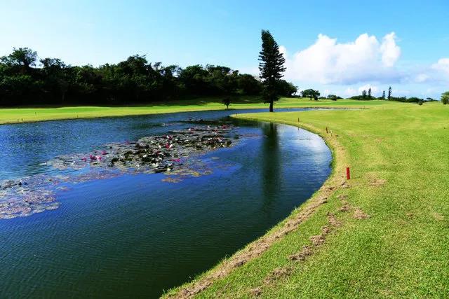 漫步山海间挥杆东海湾走进龙口那些国际高尔夫赛场