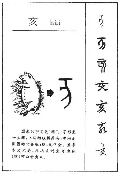 中國文字從漢字演變看中國書法藝術