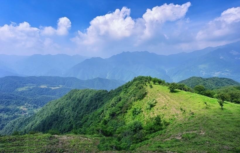 西安最近的高山牧場——待在深閨中的流峪草甸