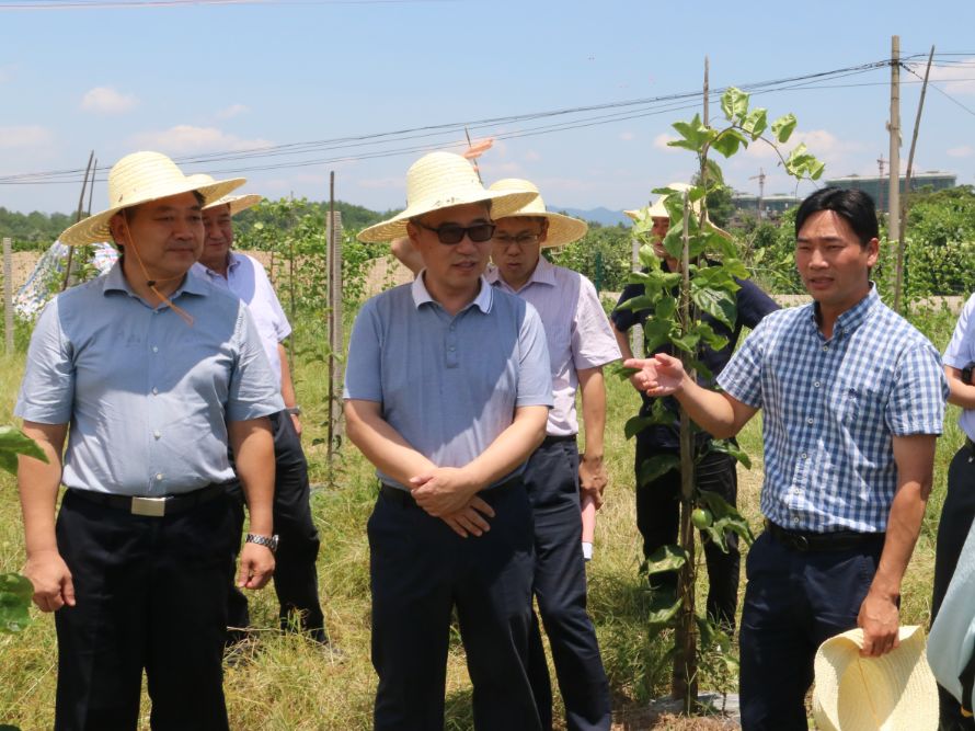 王学坤简历图片