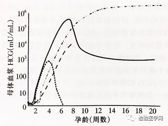 5)d hcg约增加1倍),hcg浓度的斜率平行于正常的浓度