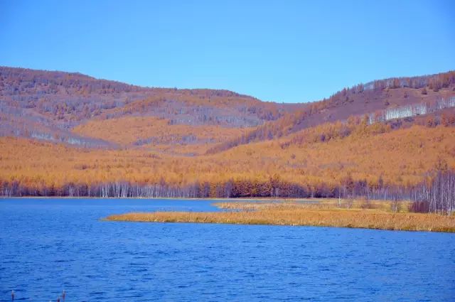 鹿鳴湖松葉湖原名達爾濱湖,位於杜鵑湖東南10公里處,距興安林場12公里