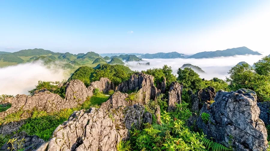 镇雄小西藏生态大花山