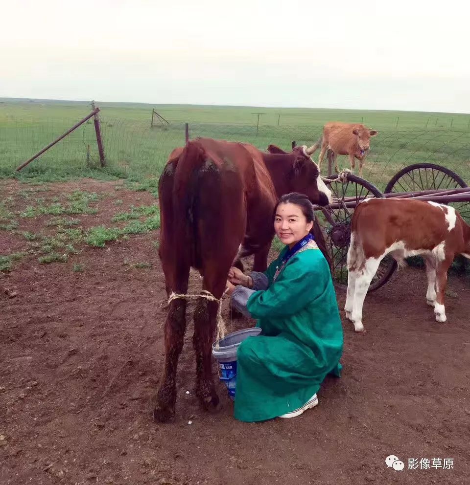 实拍锡林郭勒盟的现代牧区生活酷