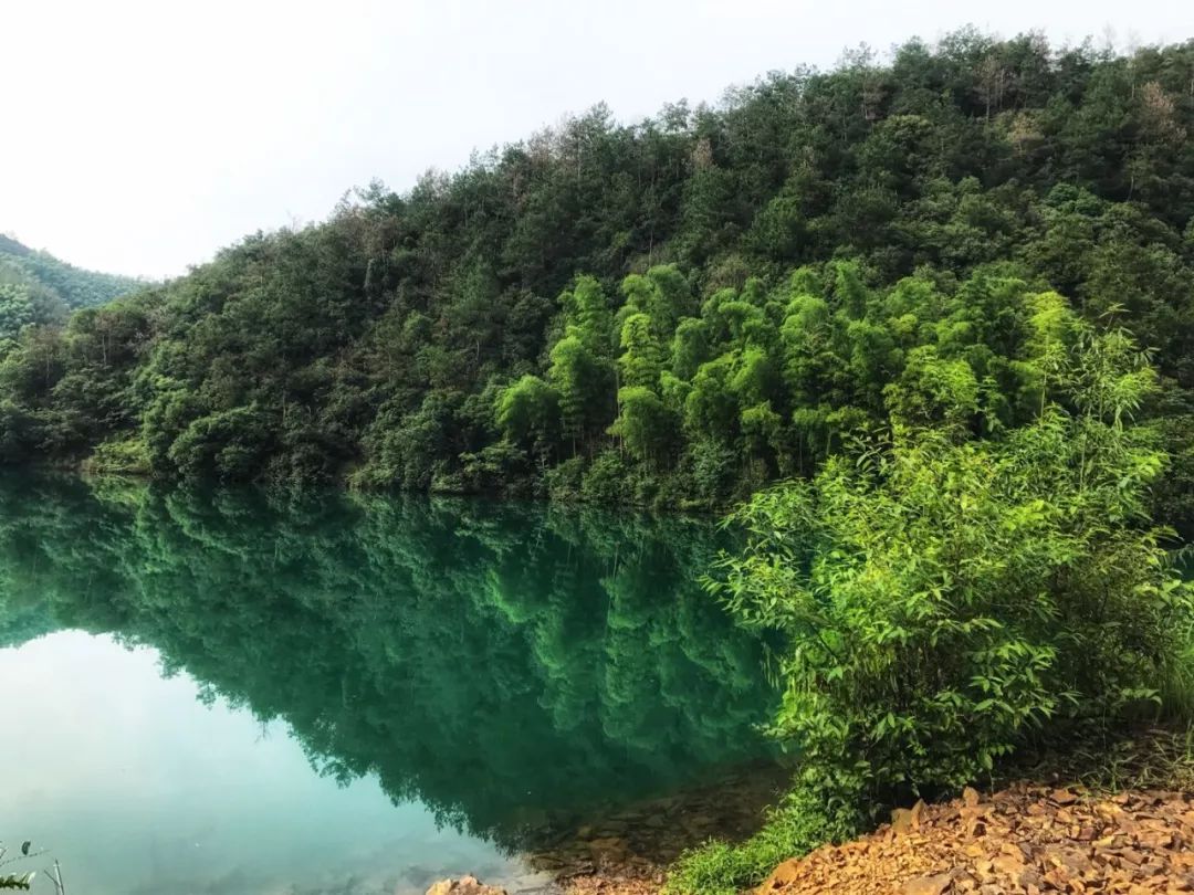 青山村水库图片