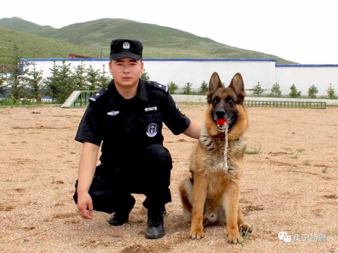 基层风采一名训导员与警犬的不解之缘