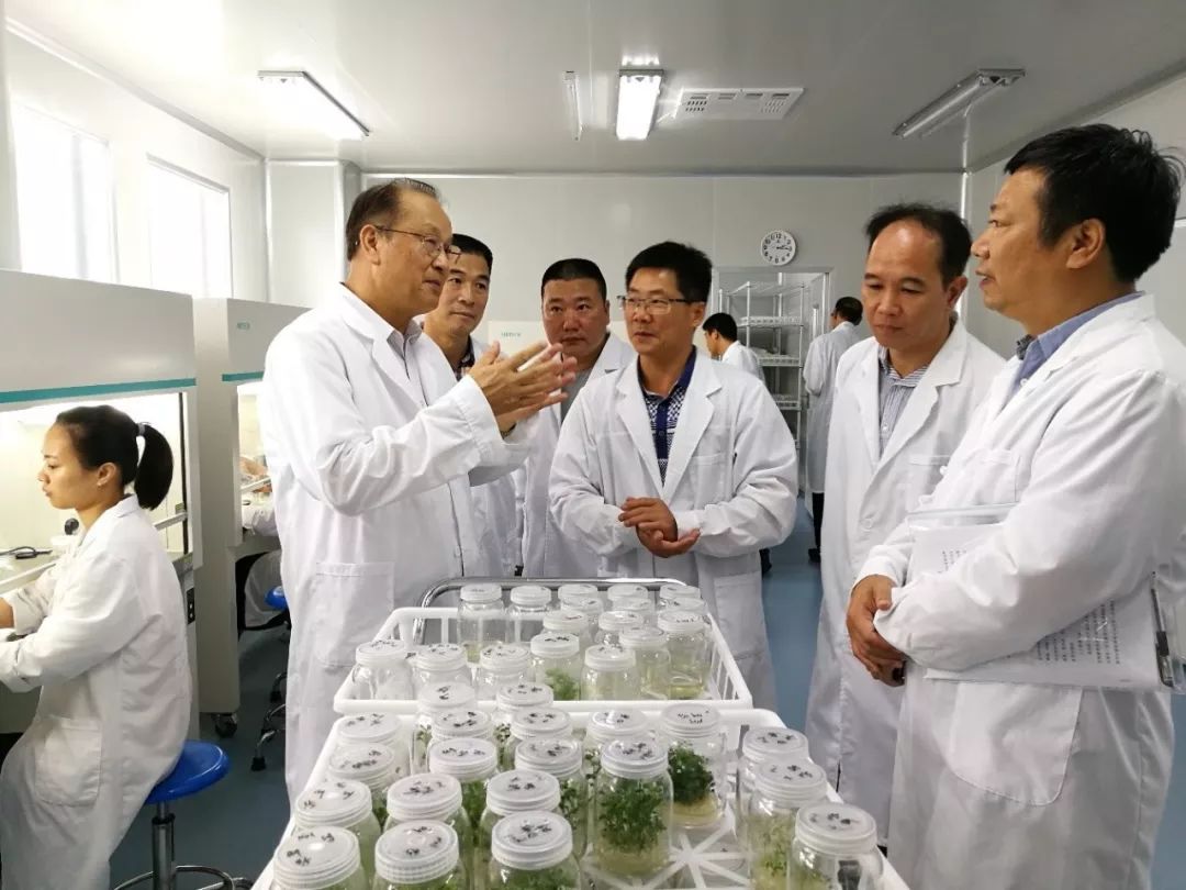 高益槐教授应邀参加宁德市生物医药产业发展专家咨询会