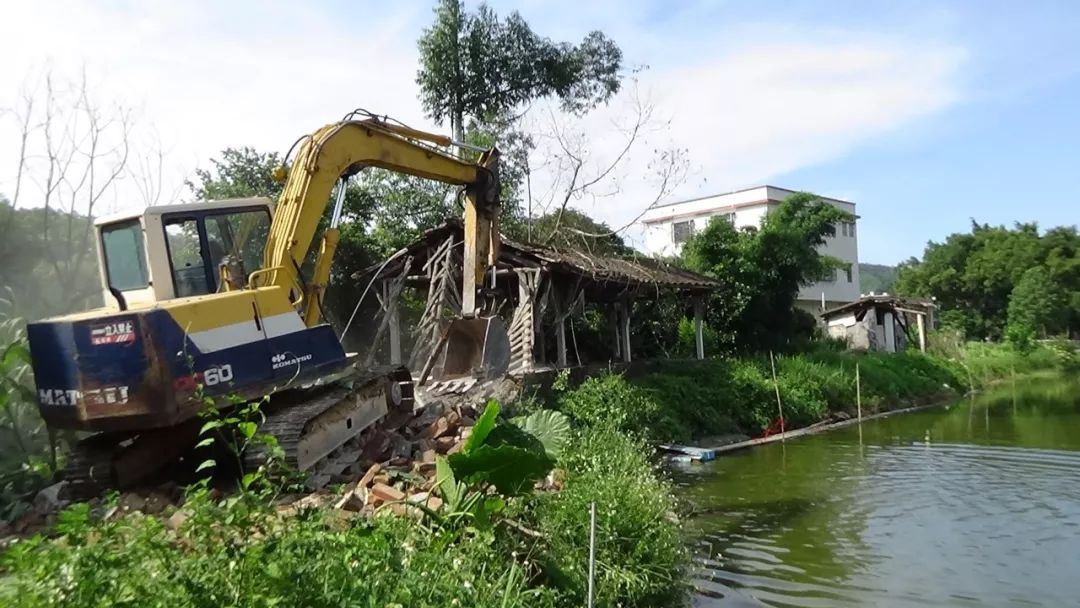 沙雲村委會內某生豬養殖場粉洞村委會內某養鴨場下一步計劃龍口鎮將